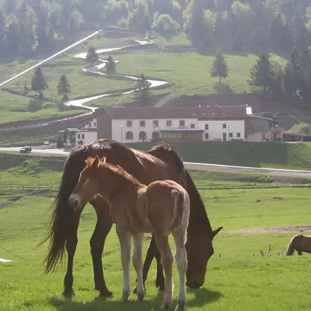 Hotel Chaume De Balveurche 2*