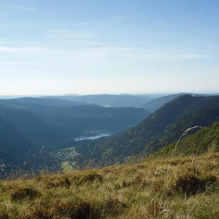 Chaume De Balveurche 2* Xonrupt-Longemer