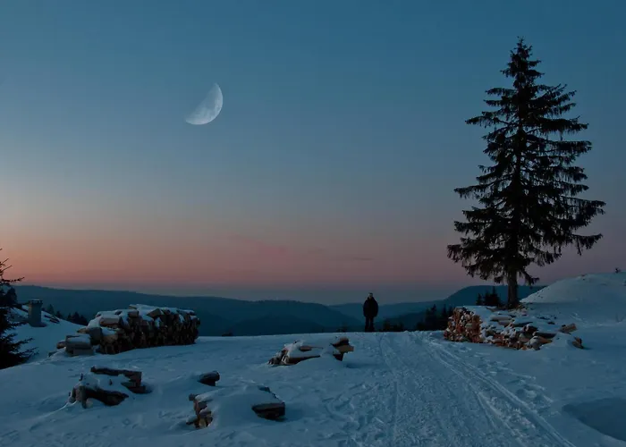 Chaume De Balveurche