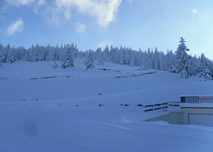 Chaume De Balveurche Xonrupt-Longemer