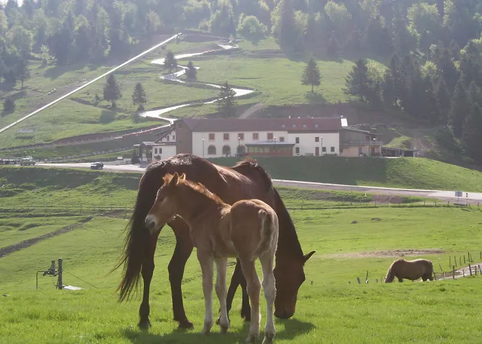 Hotel Chaume De Balveurche 2*