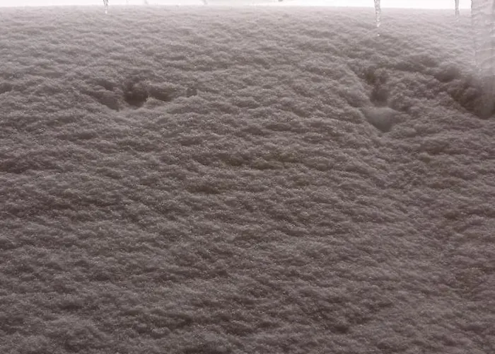 Hotel Chaume De Balveurche Xonrupt-Longemer