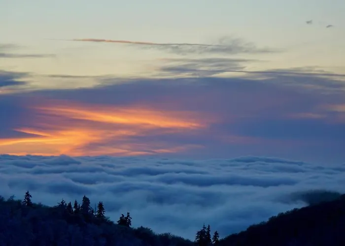 Chaume De Balveurche Xonrupt-Longemer