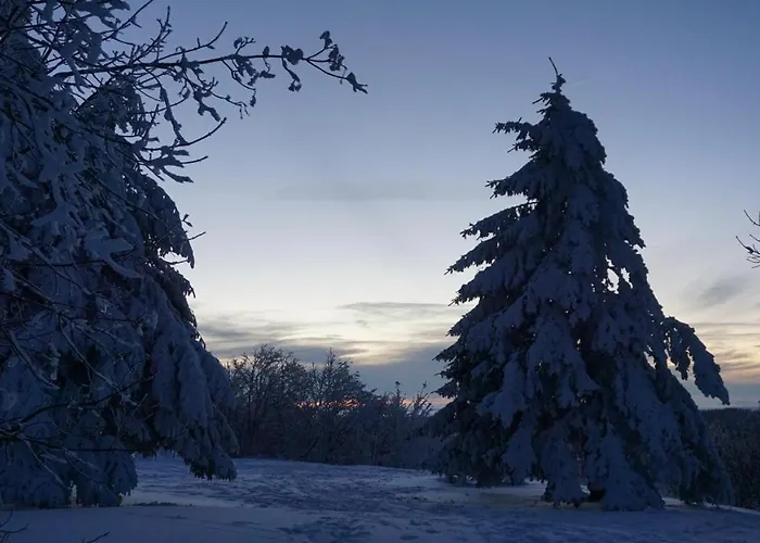 Hotel Chaume De Balveurche 2*