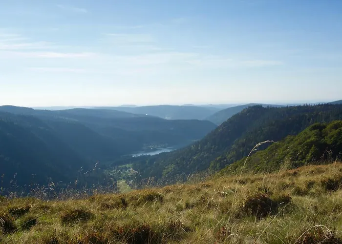 Chaume De Balveurche 2* Xonrupt-Longemer