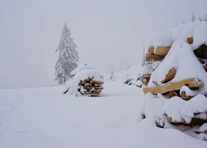 Chaume De Balveurche Hotel Xonrupt-Longemer